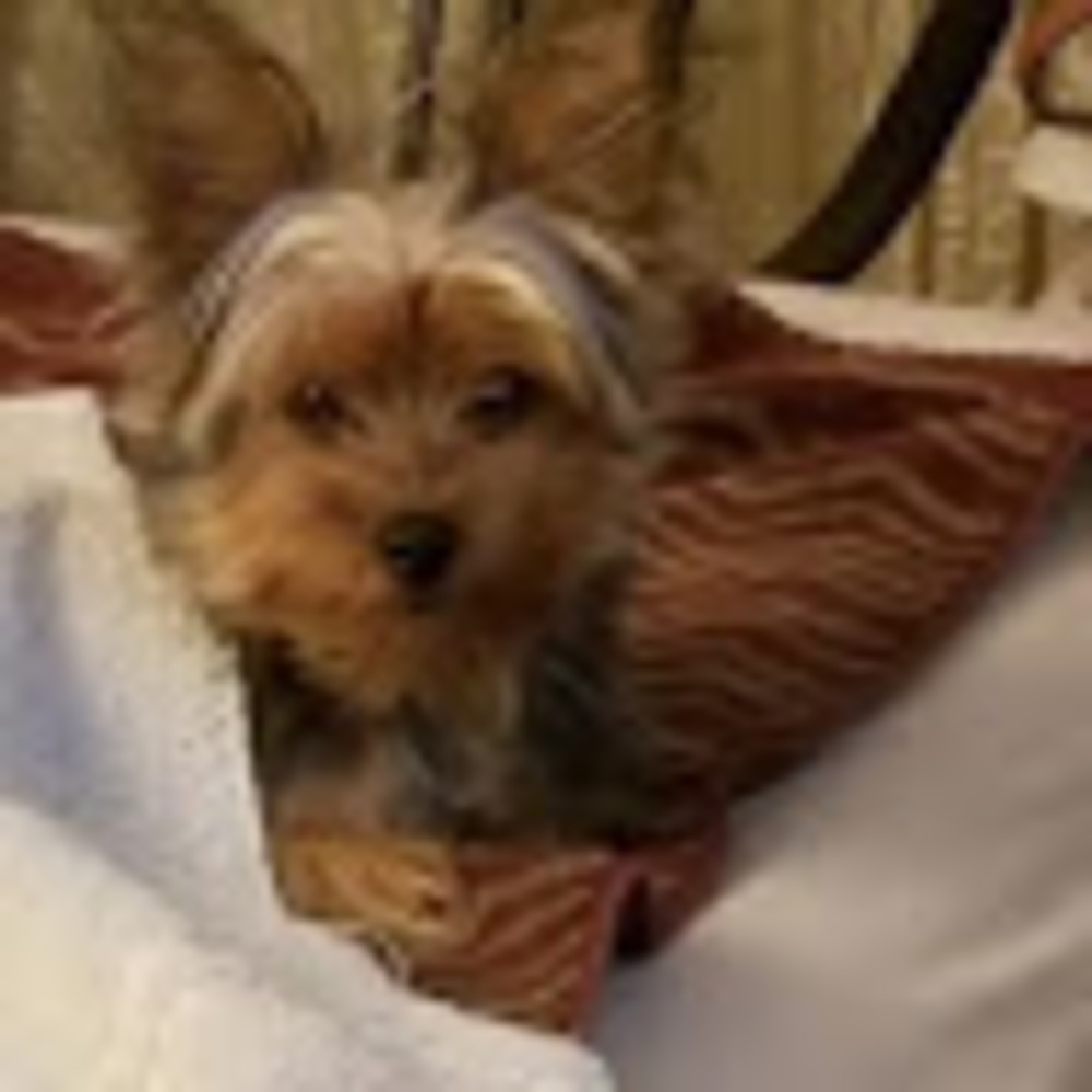 Meet your Posher, Mimi